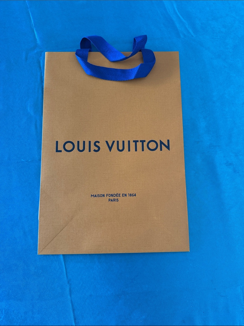Louis Vuitton Brown and Blue Paper Gift Bag